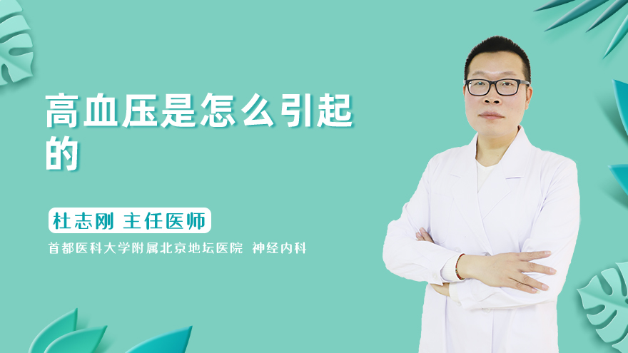 高血压是怎么引起的