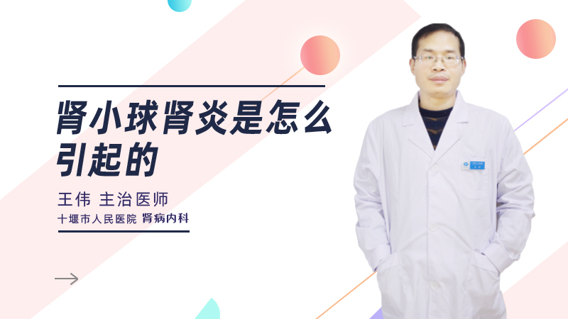 肾小球肾炎是怎么引起的