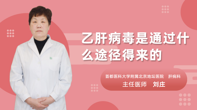 乙肝病毒是通过什么途径得来的