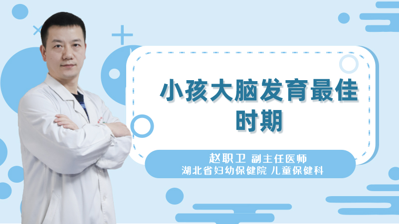 小孩大脑发育最佳时期