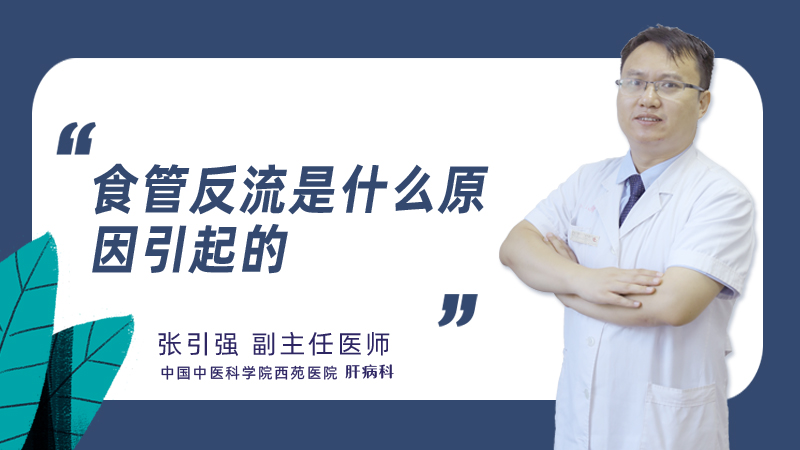 食管反流是什么原因引起的