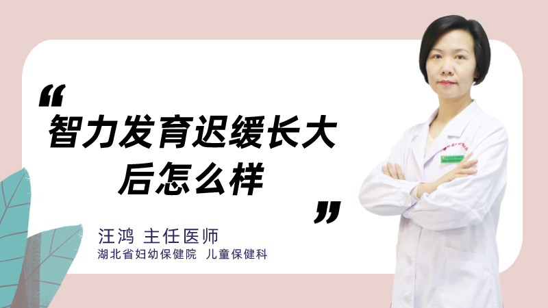 智力发育迟缓长大后怎么样