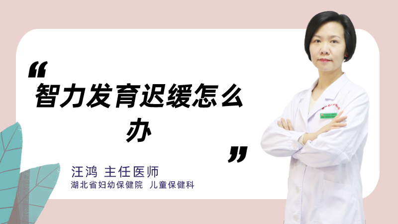 智力发育迟缓怎么办