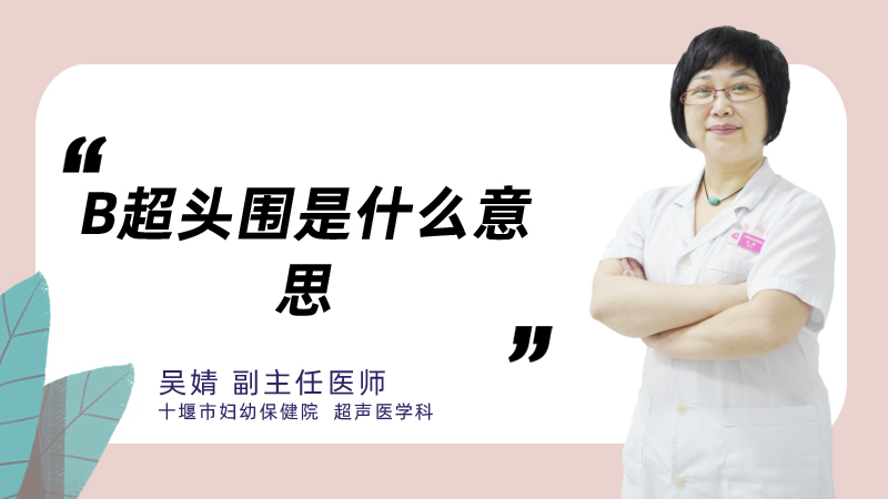 b超头围是什么意思