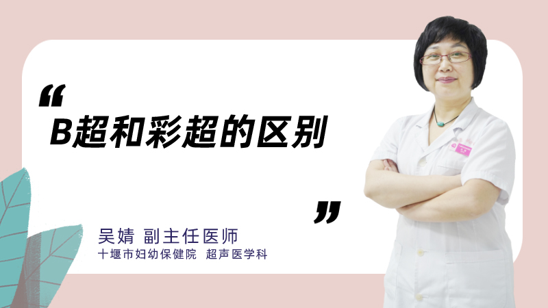 b超和彩超的区别