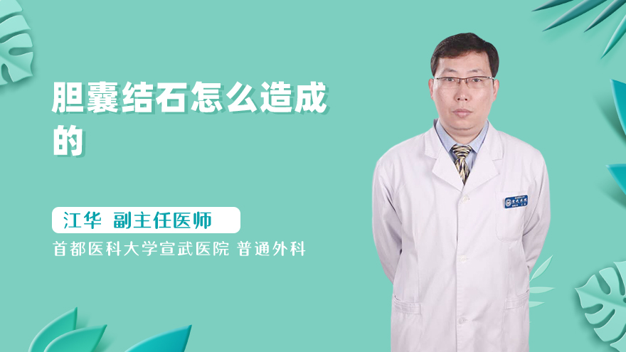 胆囊结石怎么造成的