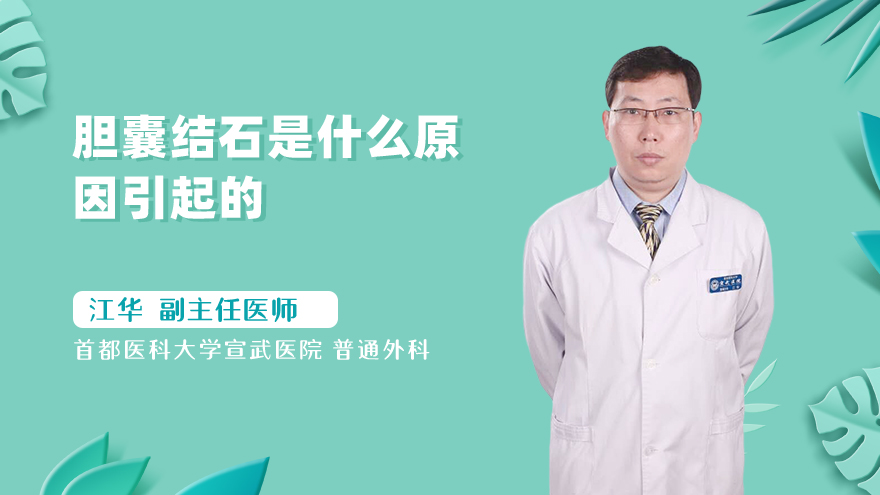胆囊结石是什么原因引起的