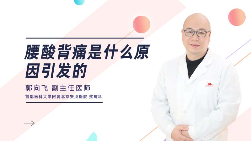 腰酸背痛是什么原因引发