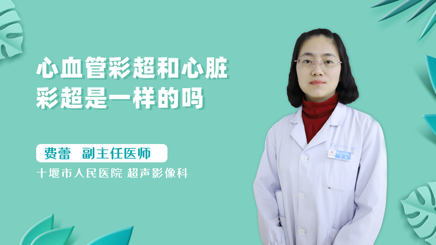 心血管彩超和心脏彩超是一样的吗