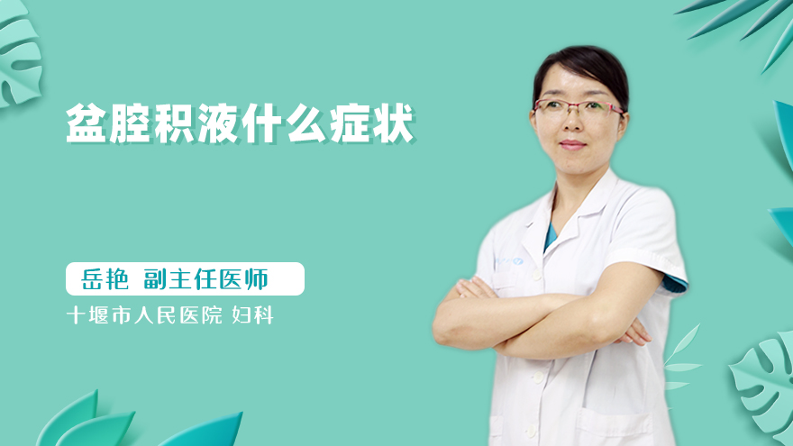 盆腔积液什么症状