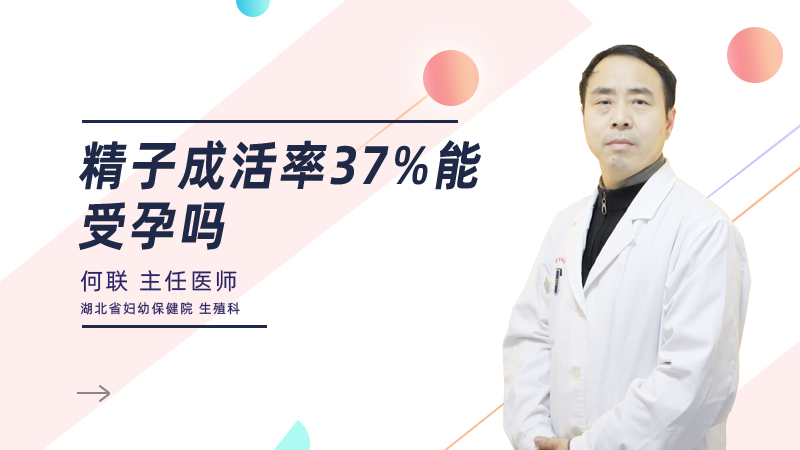 精子成活率37%能受孕吗