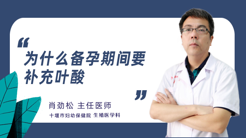 为什么备孕期间要补充叶酸
