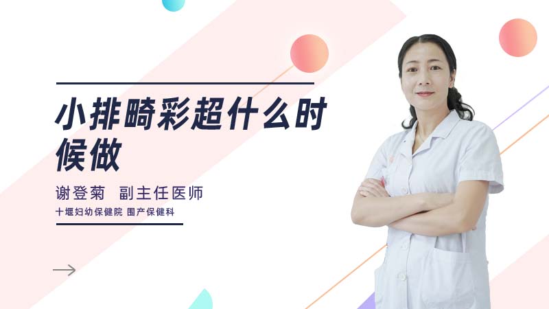小排畸彩超什么时候做