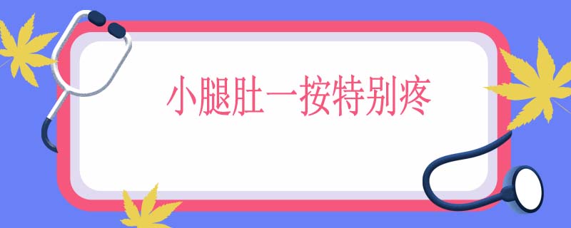 小腿肚一按特别疼