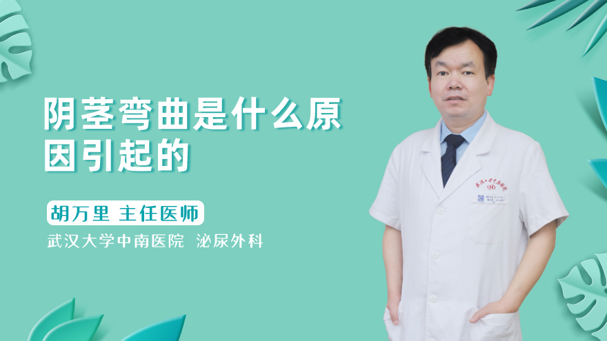 阴茎弯曲是什么原因引起的