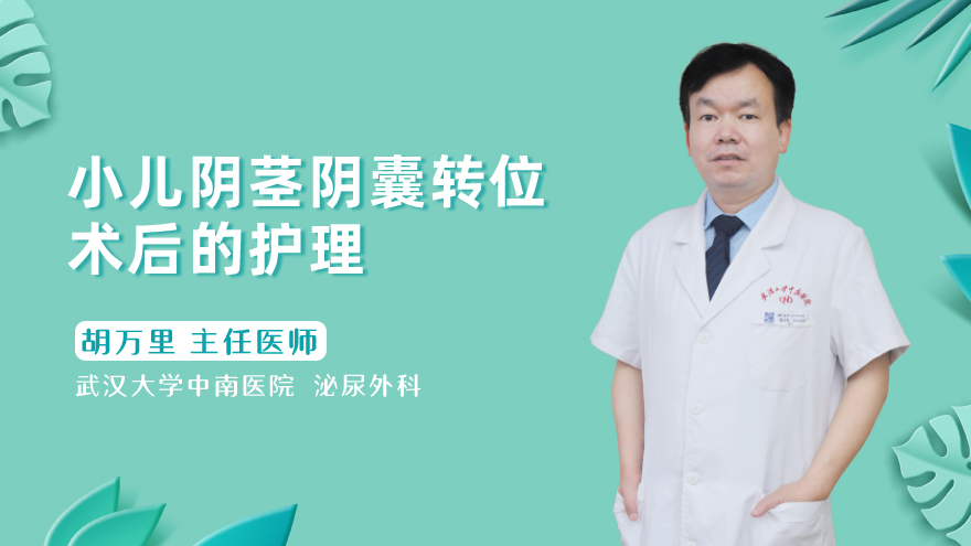 小儿阴茎阴囊转位术后的护理