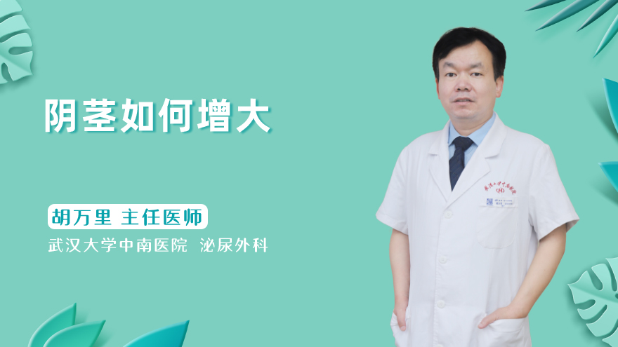 阴茎如何增大