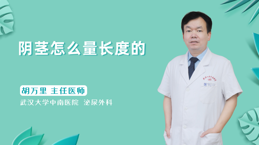 阴茎怎么量长度的