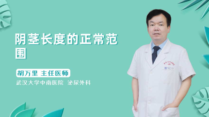 阴茎长度的正常范围