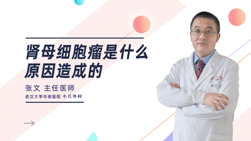 肾母细胞瘤是什么原因造成的