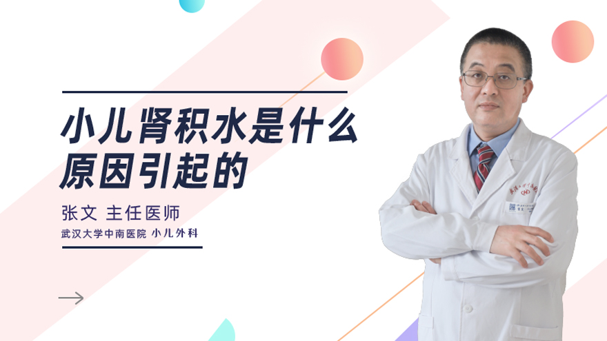 小儿肾积水是什么原因引起的
