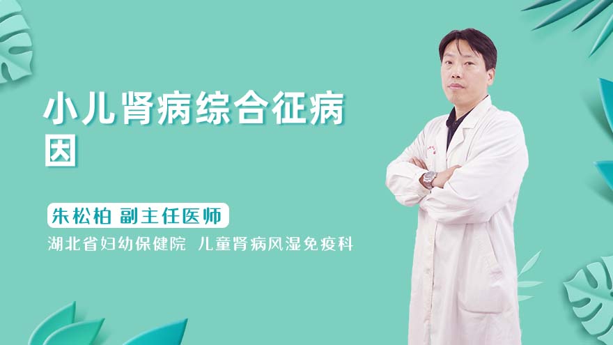 小儿肾病综合征病因
