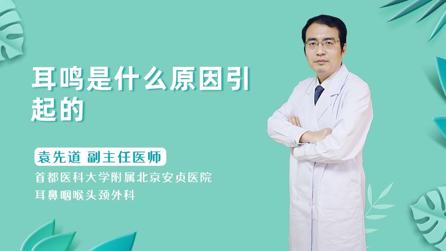 耳鸣是什么原因引起的