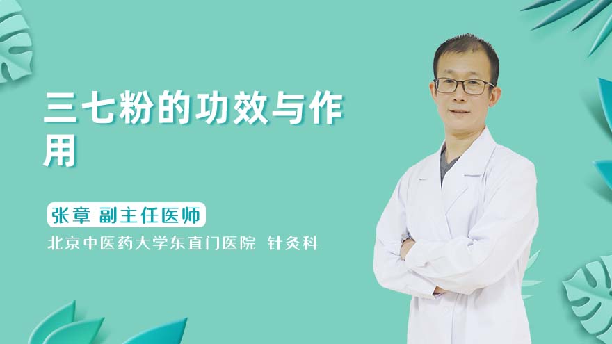 三七粉的功效与作用