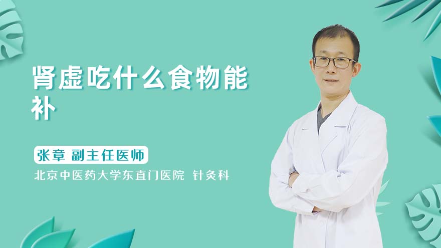 肾虚吃什么食物能补