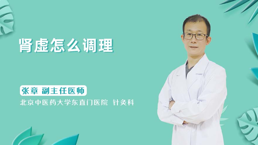 肾虚怎么调理