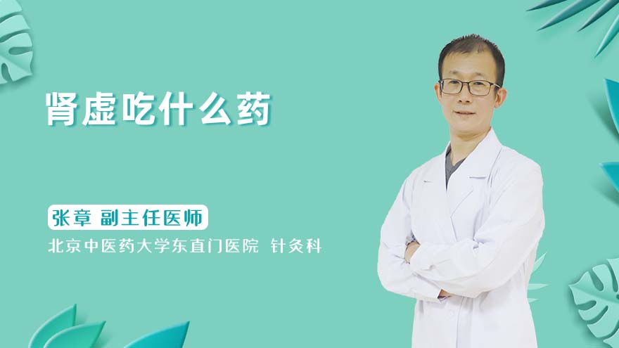 肾虚吃什么药