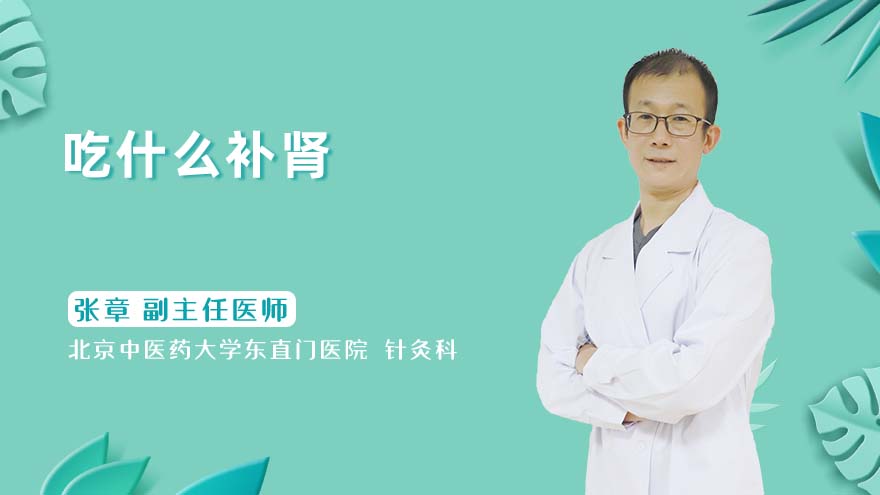 吃什么补肾