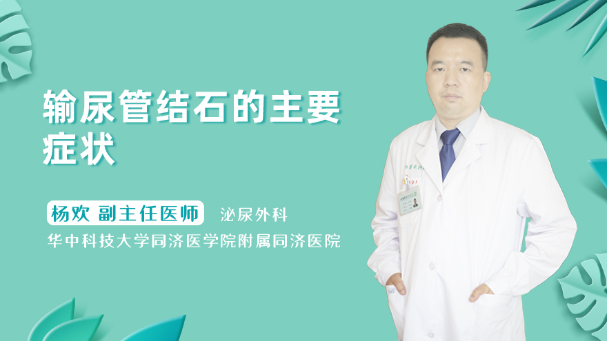输尿管结石的主要症状