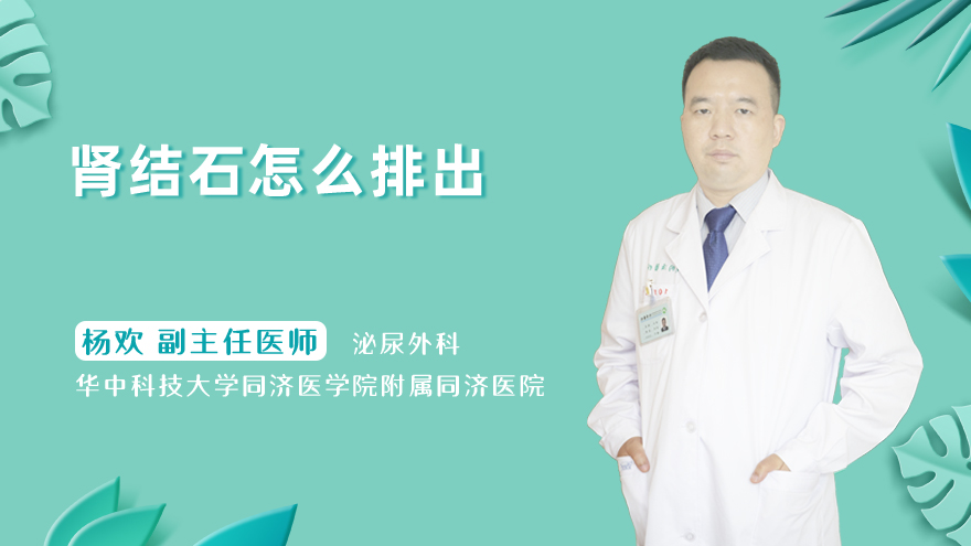 肾结石怎么排出