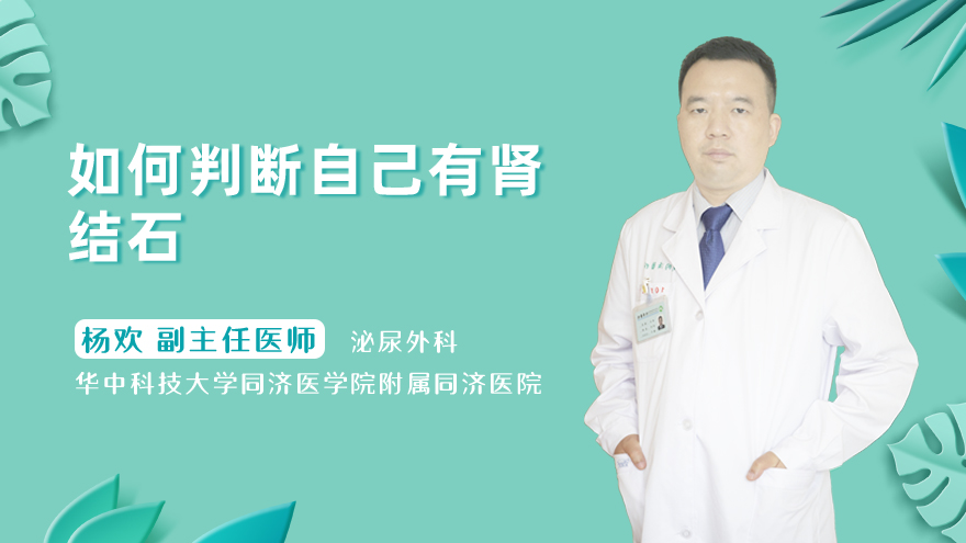 如何判断自己有肾结石