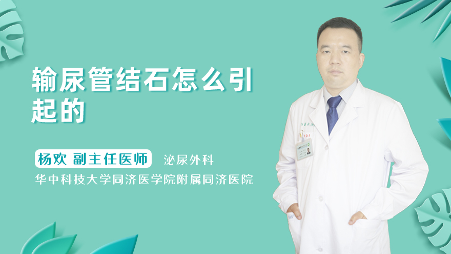 输尿管结石怎么引起的