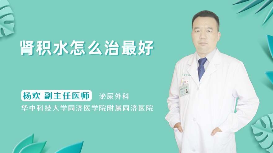 肾积水怎么治最好