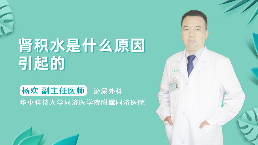 肾积水是什么原因引起的