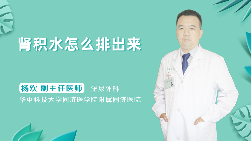 肾积水怎么排出来