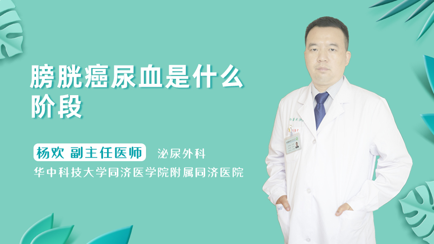 膀胱癌尿血是什么阶段