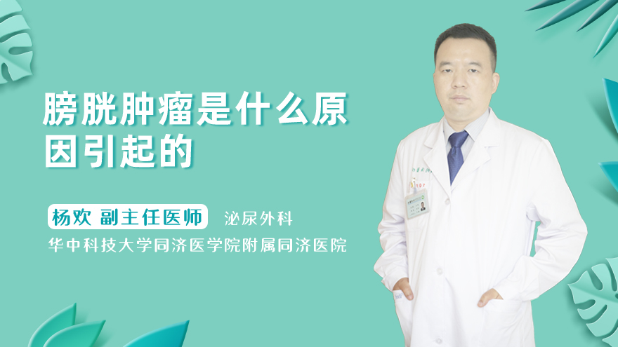 膀胱肿瘤是什么原因引起的
