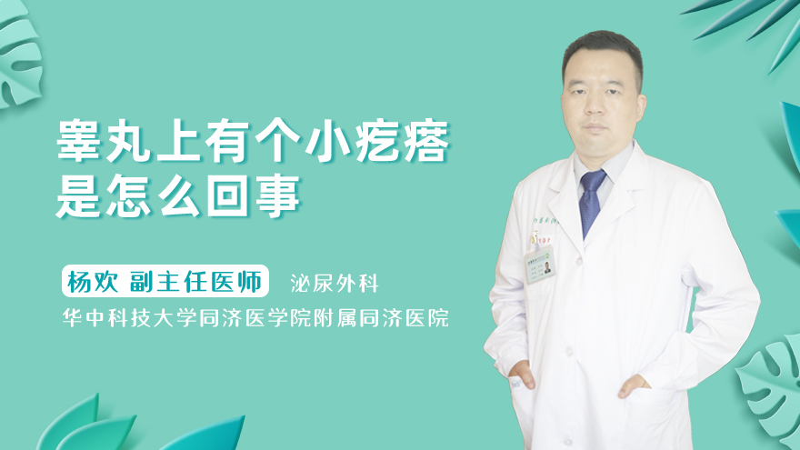睾丸上有个小疙瘩是怎么回事
