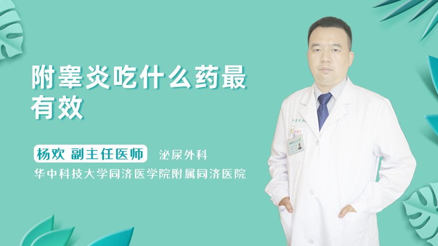 附睾炎吃什么药最有效