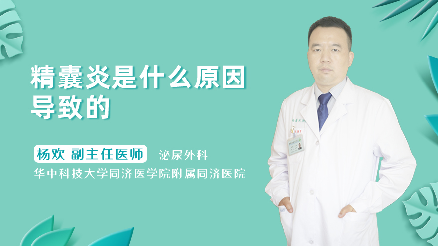 精囊炎是什么原因导致的