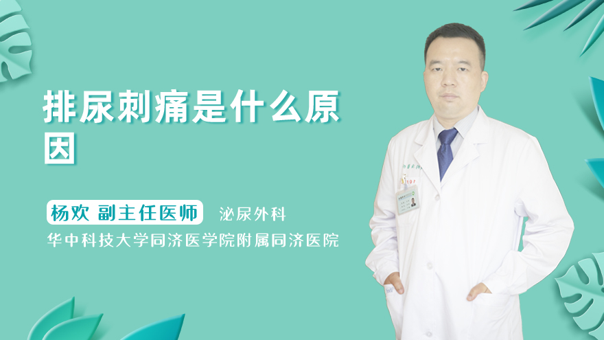排尿刺痛是什么原因