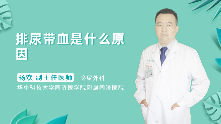 排尿带血是什么原因