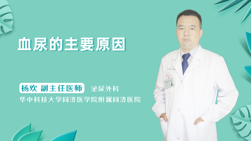 血尿的主要原因