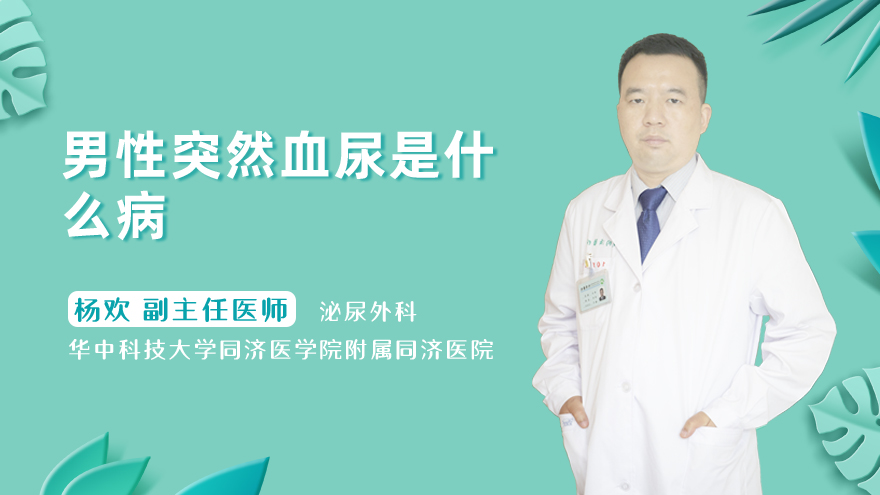 男性突然血尿是什么病
