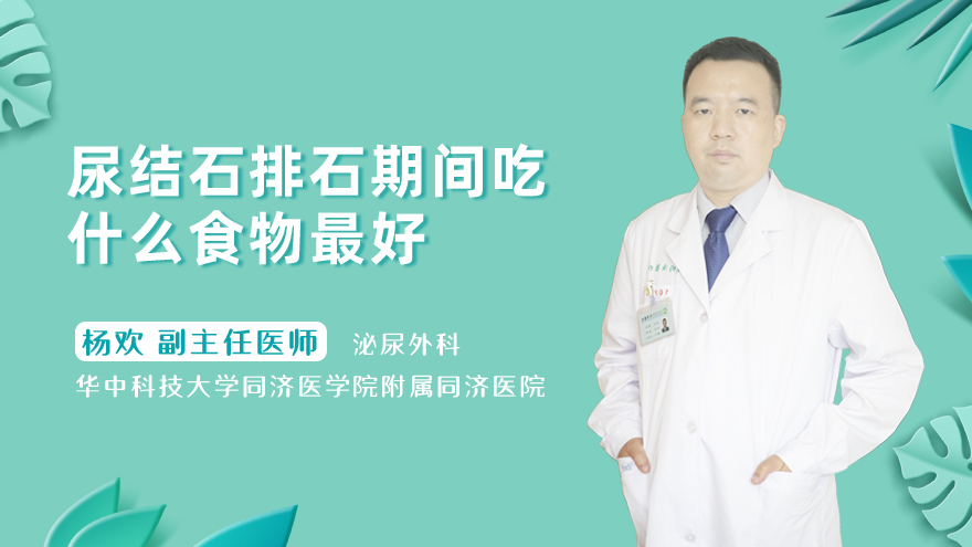 尿结石排石期间吃什么食物最好