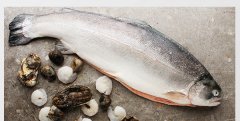 活海鲜属于冷链食品吗，海参属于冷链食品吗